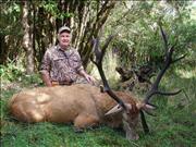 ChileHunt 088